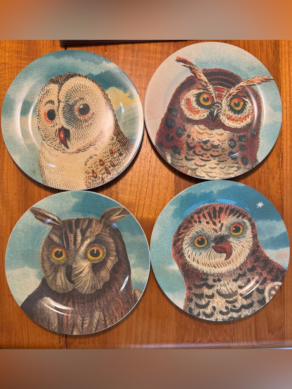 John Derian for Target Owl dessert Plates Set of 4